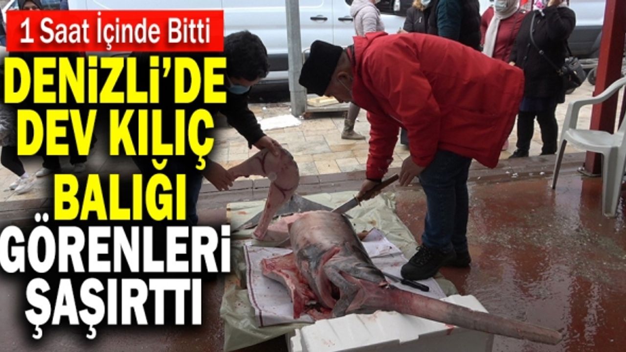 Denizli’de Dev Kılıç Balığı Görenleri Şaşırttı
