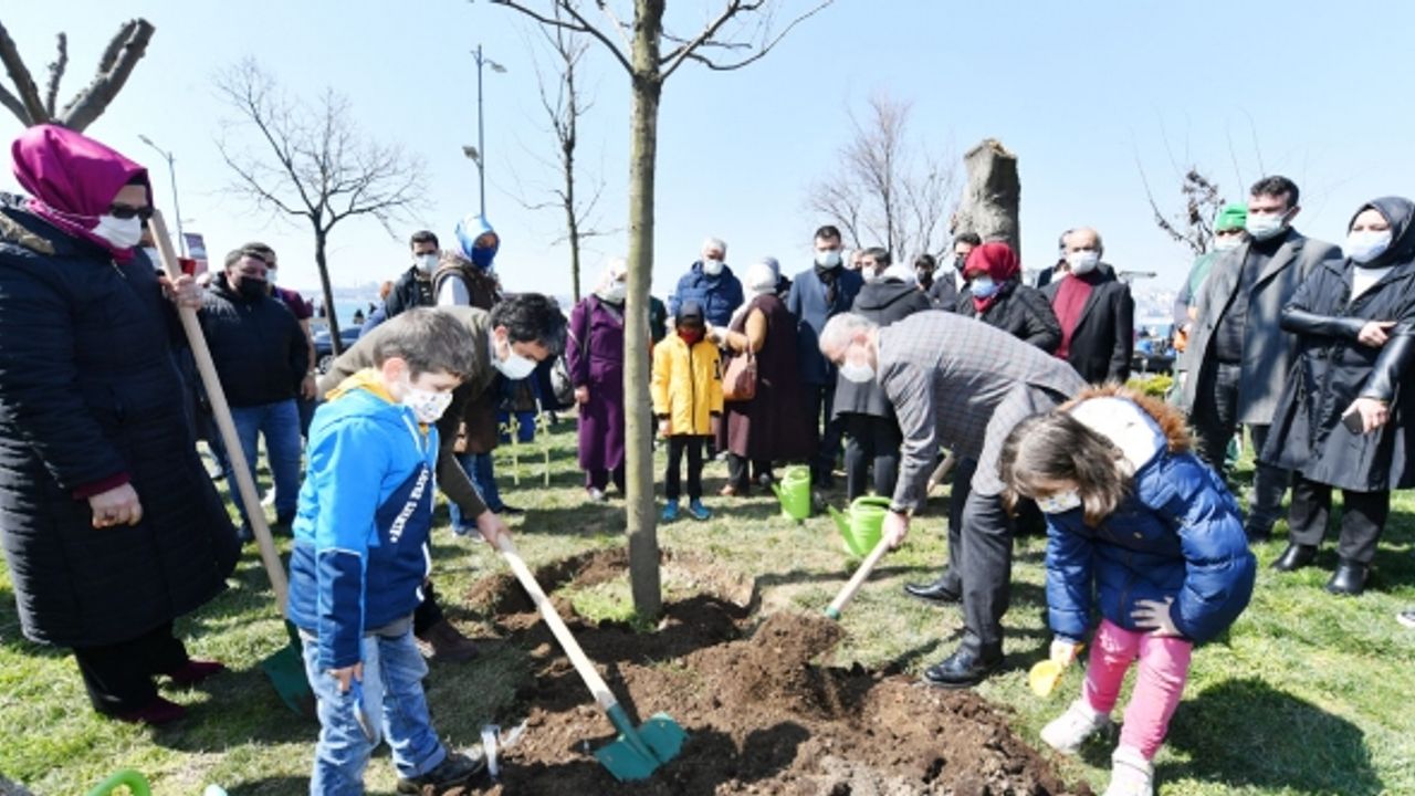 İstanbul Üsküdar'da katledilen ağaçların yerine yenileri dikildi