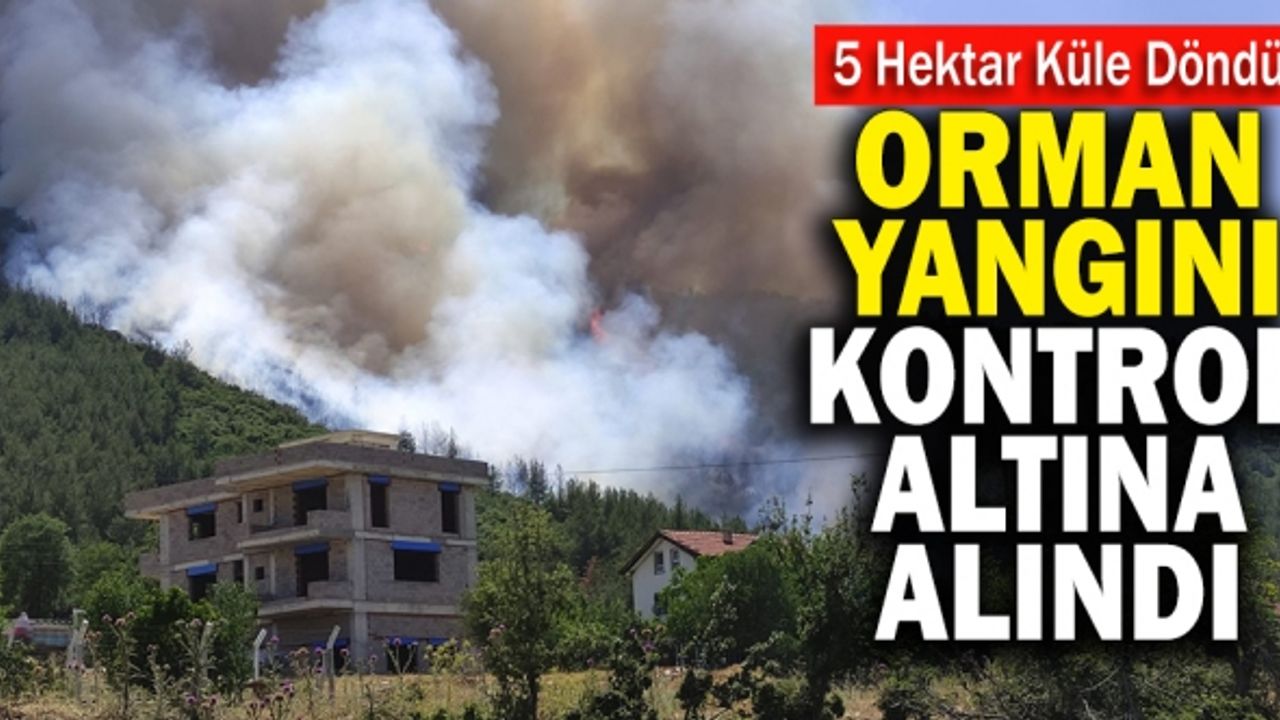 Orman Yangını Kontrol Altına Alındı