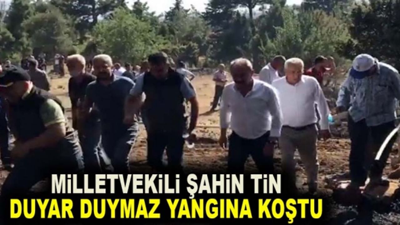Vekil Şahin Tin Duyar Duymaz Yangına Koştu
