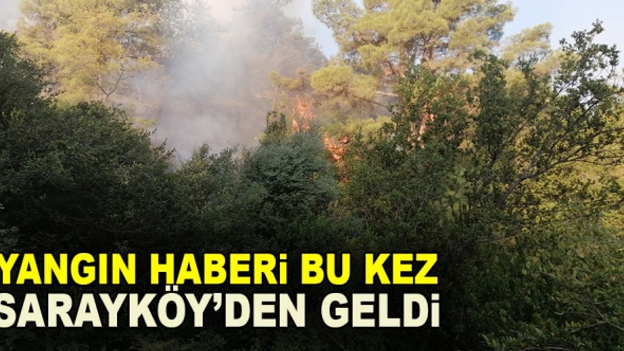 Yangın Haberi Bu Kez Sarayköy’den Geldi