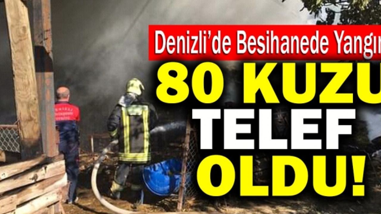 Denizli’de Besihane Yangınında 80 Kuzu Telef Oldu