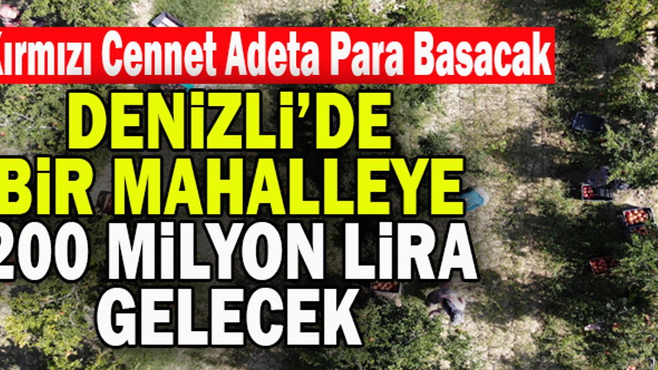 Denizli’de Bir Mahalleye 200 Milyon Lira Gelecek