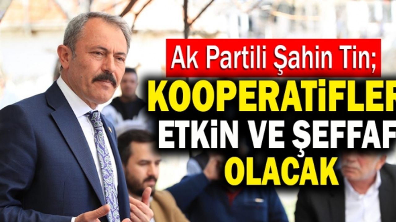 Ak Partili Şahin Tin; “Kooperatifler Etkin Ve Şeffaf Olacak”