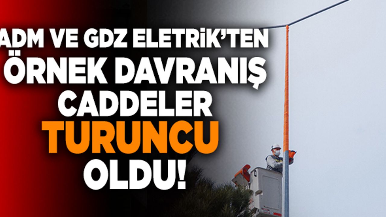 Adm ve Gdz Eletrik Kadına Yönelik Şiddete Dikkat Çekmek İçin Sokakları Turuncu Aydınlattı