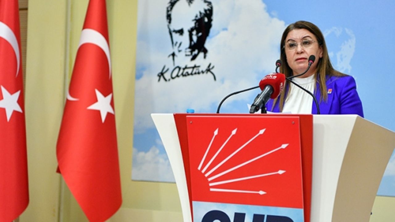 CHP’li Gülizar Biçer Karaca’dan 10 Aralık Dünya İnsan Hakları Günü Mesajı