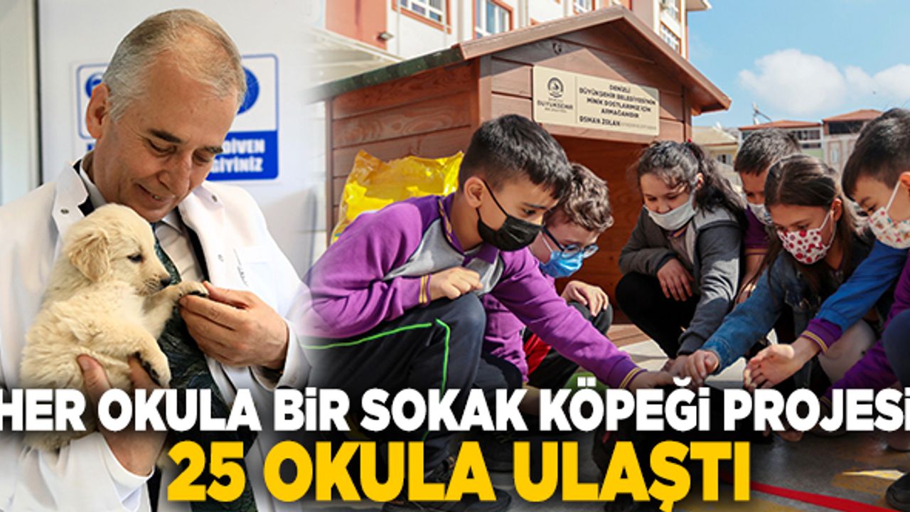 Denizli’de Her Okula Bir Sokak Köpeği Projesi’nde 25 Okula Ulaşıldı