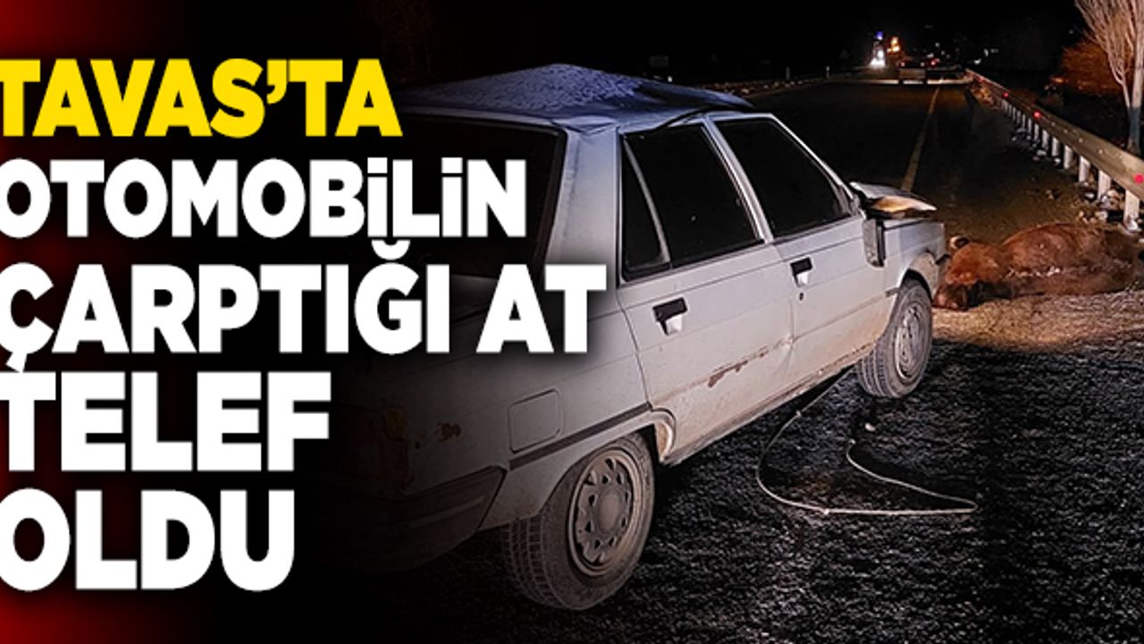 Tavas’ta Otomobilin Çarptığı At Telef Oldu
