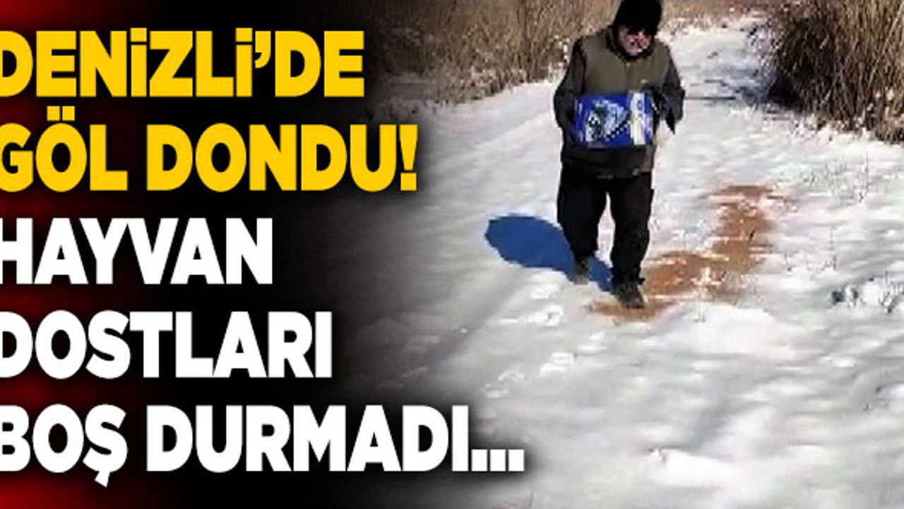 Denizli’de Göl Dondu! Hayvan Dostları Boş Durmadı…