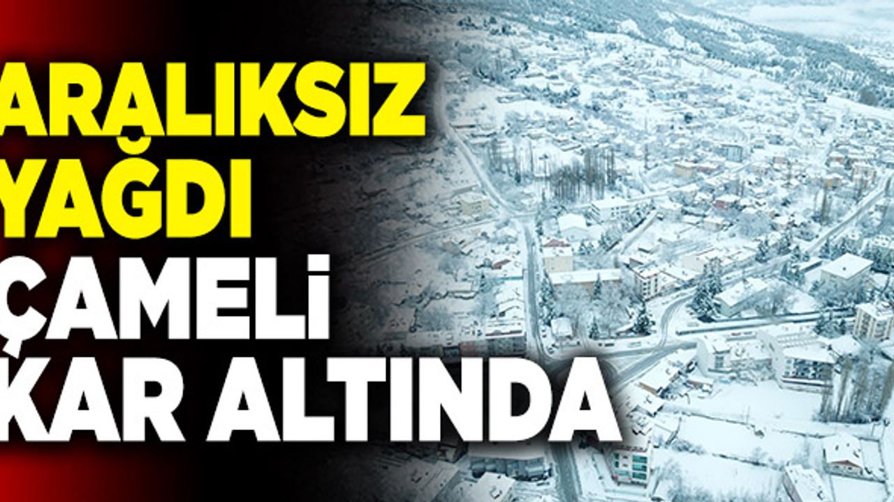 Denizli’nin Çameli İlçesi Kara Teslim Oldu