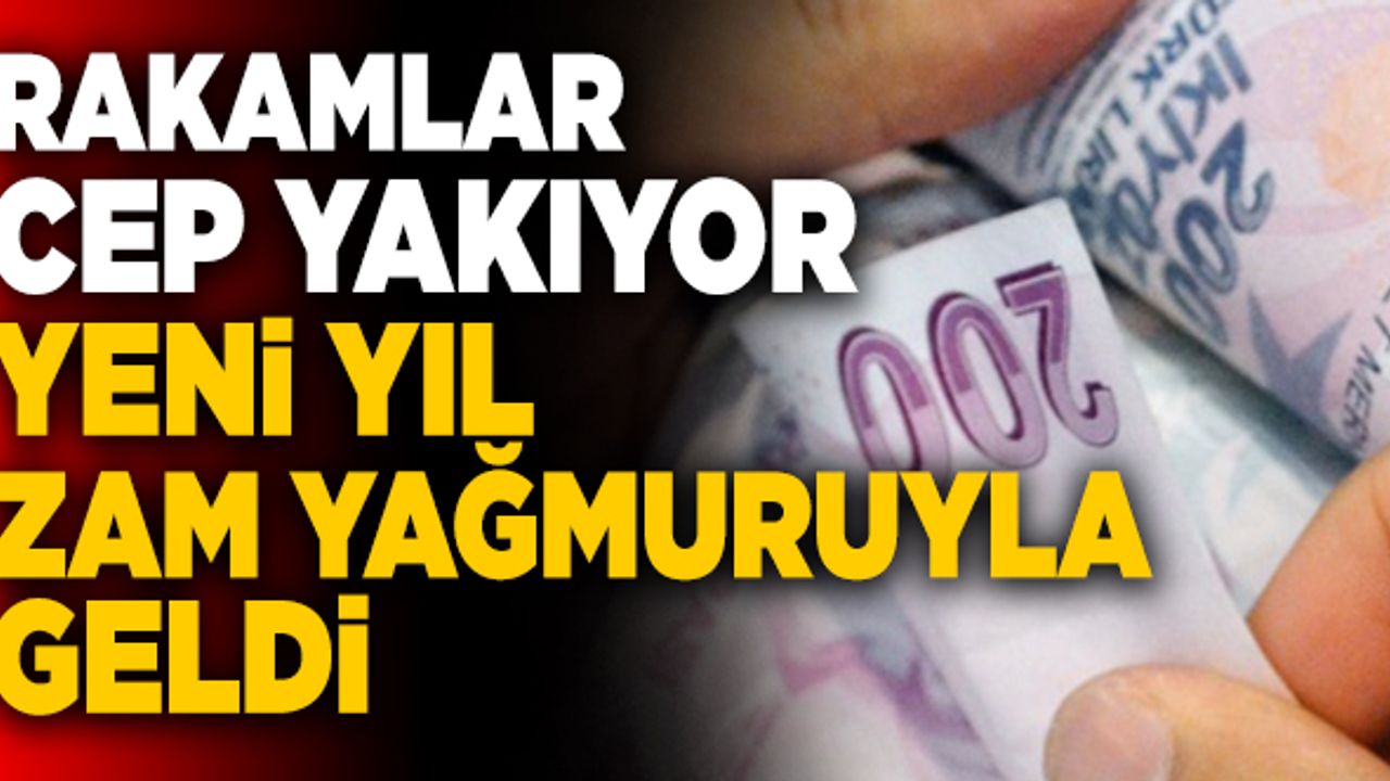 Rakamlar Cep Yakıyor! Yeni Yıl Zam Yağmuruyla Geldi…