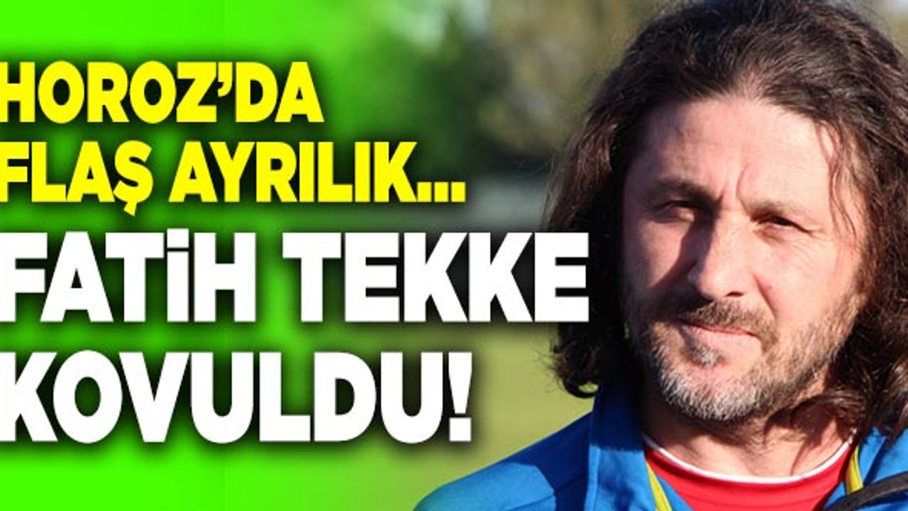 Son Dakika: Denizlispor Fatih Tekke’yi Gönderdi!