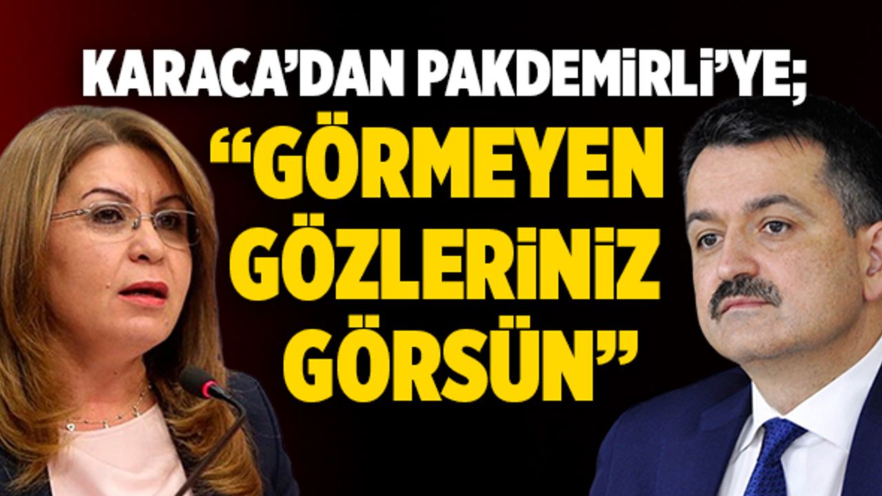 CHP’li Karaca’dan Bakan Pakdemirli’ye; “Görmeyen Gözleriniz Görsün”