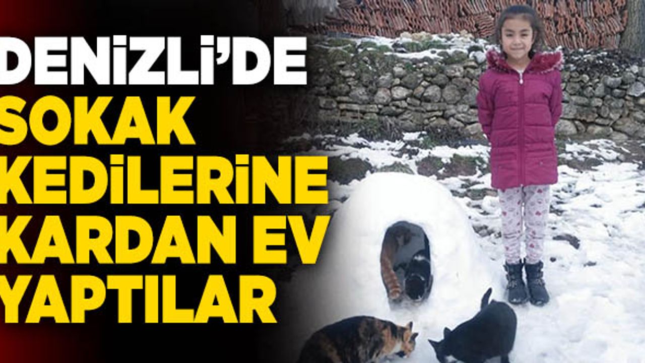 Denizli’de Sokak Kedileri İçin Kardan Ev Yaptılar