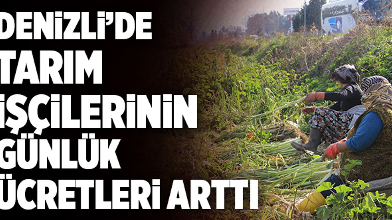 Denizli’de Tarım İşçilerinin Günlük Ücretleri Arttı