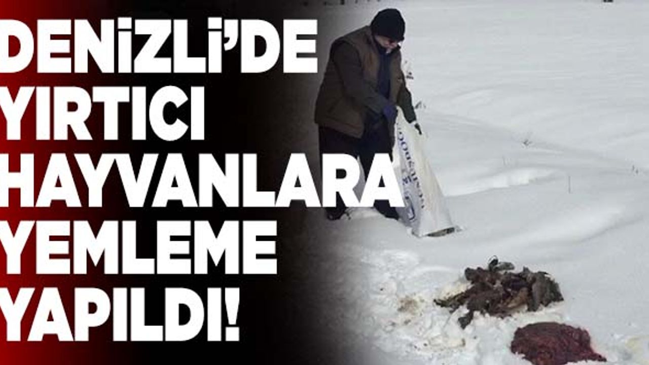 Denizli’de Yırtıcı Hayvanlar İçin Yemleme Yapıldı!