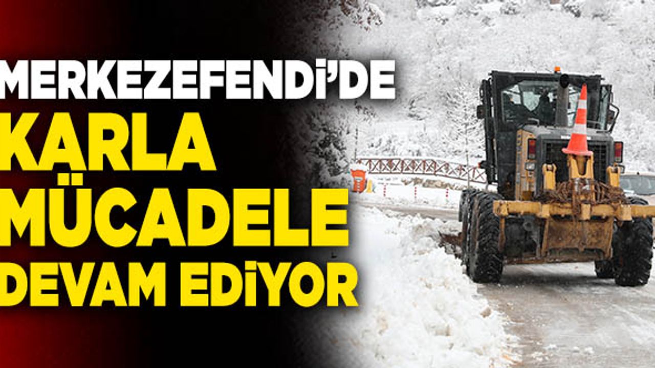 Merkezefendi’de Karla Mücadele Devam Ediyor