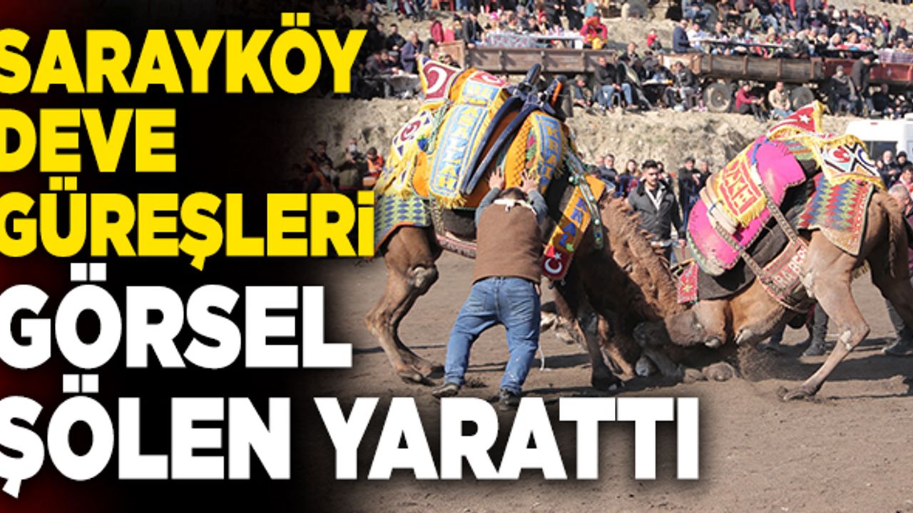 Sarayköy Deve Güreşleri Görsel Şölen Yarattı