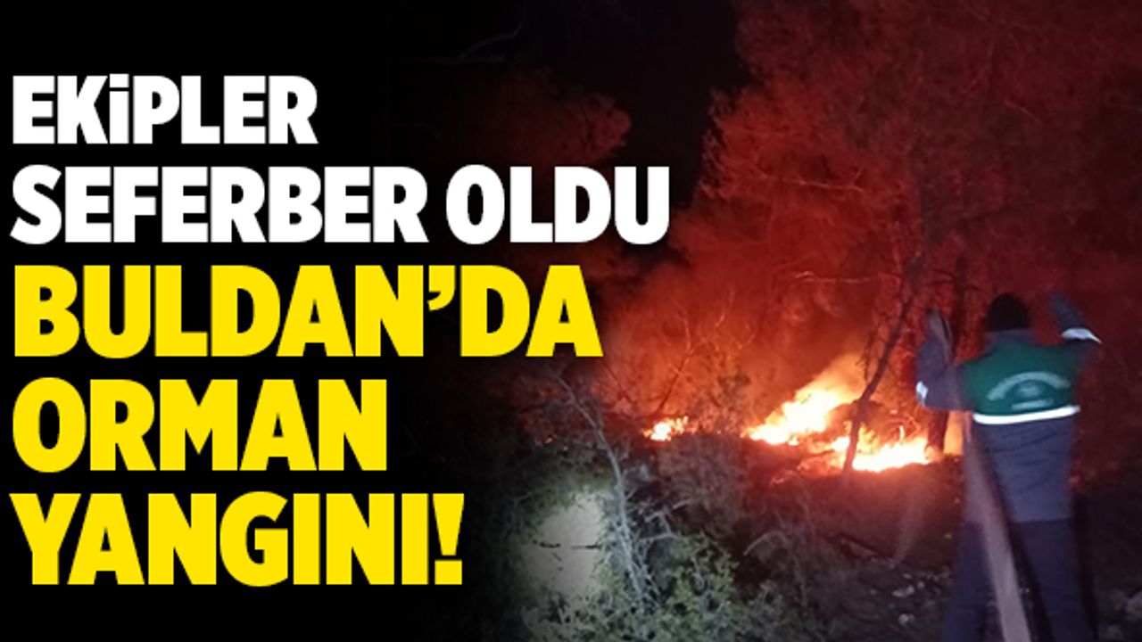Buldan’da 1 Hektarlık Alan Kül Oldu