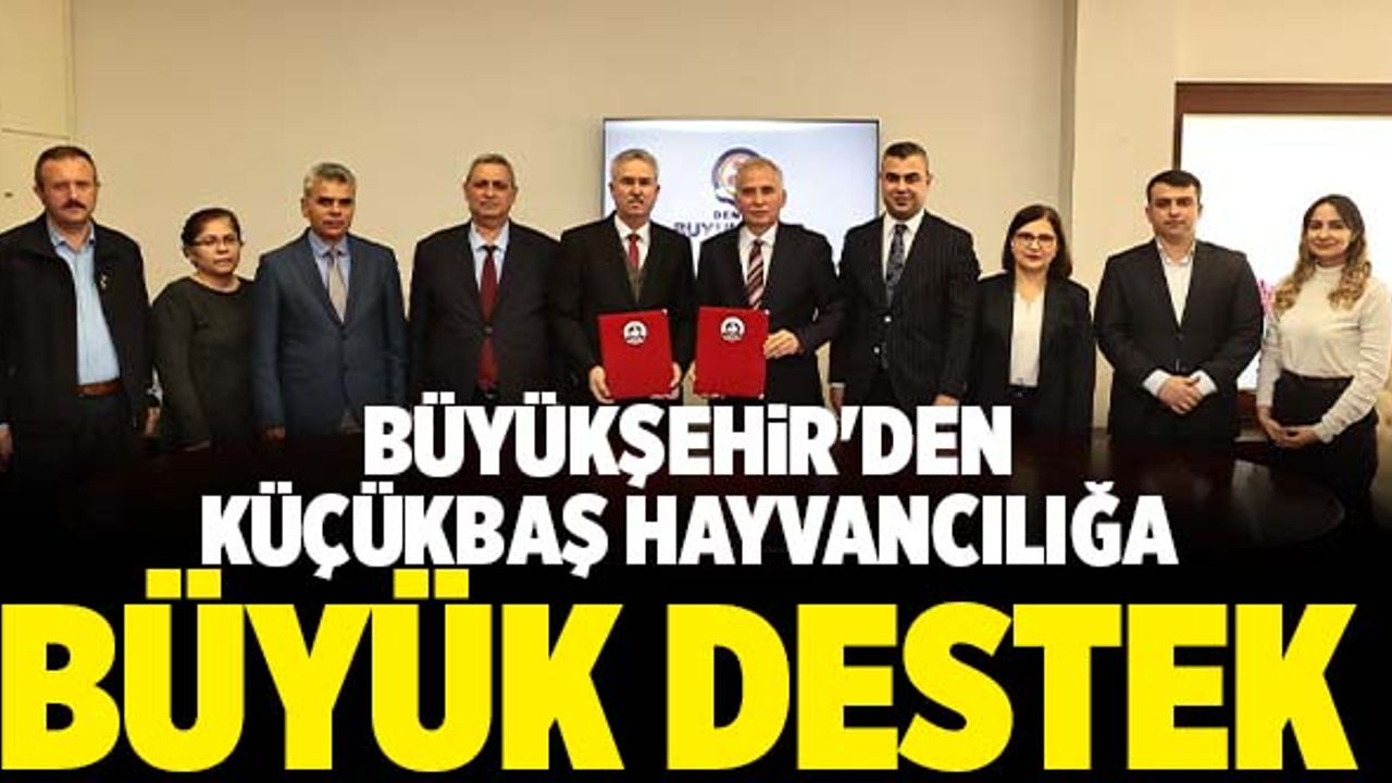 Denizli Büyükşehir'den Küçükbaş Hayvancılığa Büyük Destek