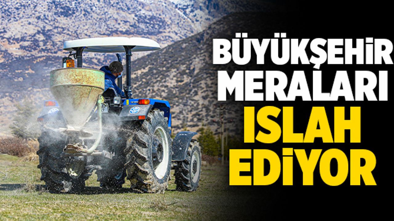 Denizli Büyükşehir Meraları Islah Ediyor