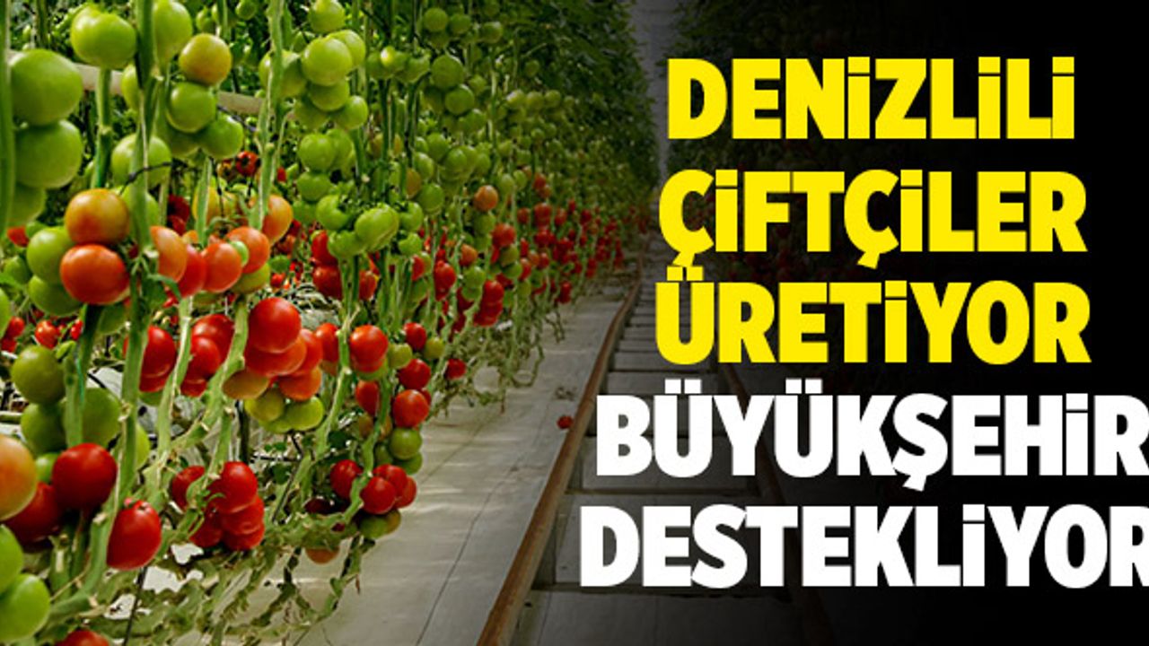 Denizlili Çiftçiler Üretiyor, Büyükşehir Destekliyor