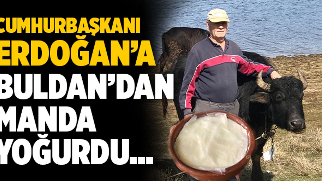 Cumhurbaşkanı Erdoğan’a Buldan’dan Manda Yoğurdu Göndermek İstiyor