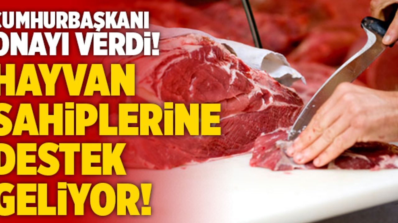 Cumhurbaşkanı Onayı Verdi!  Sığır Yetiştiricilerine Destek Geliyor!