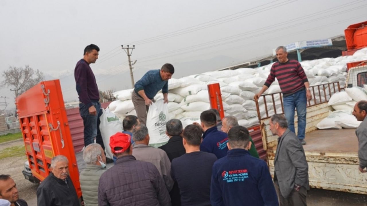 Denizli’de Arı Yetiştiricilerine 108 Ton Şeker Dağıtıldı