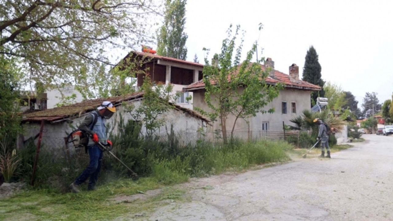 Pamukkale Belediyesi Tüm İlçeyi Yaza Hazırlıyor