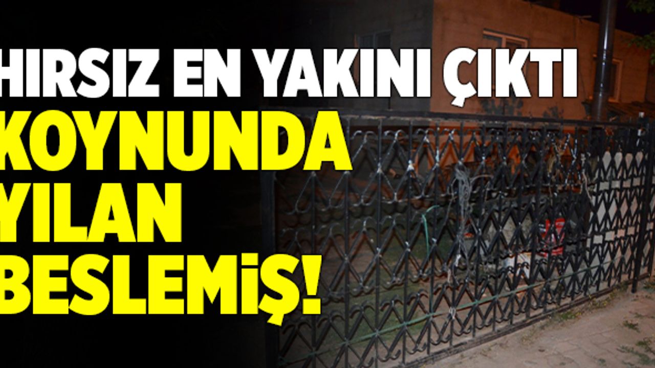 Koynunda Yılan Beslemiş! Denizli’de Hırsızın Kimliği Şaşırttı!