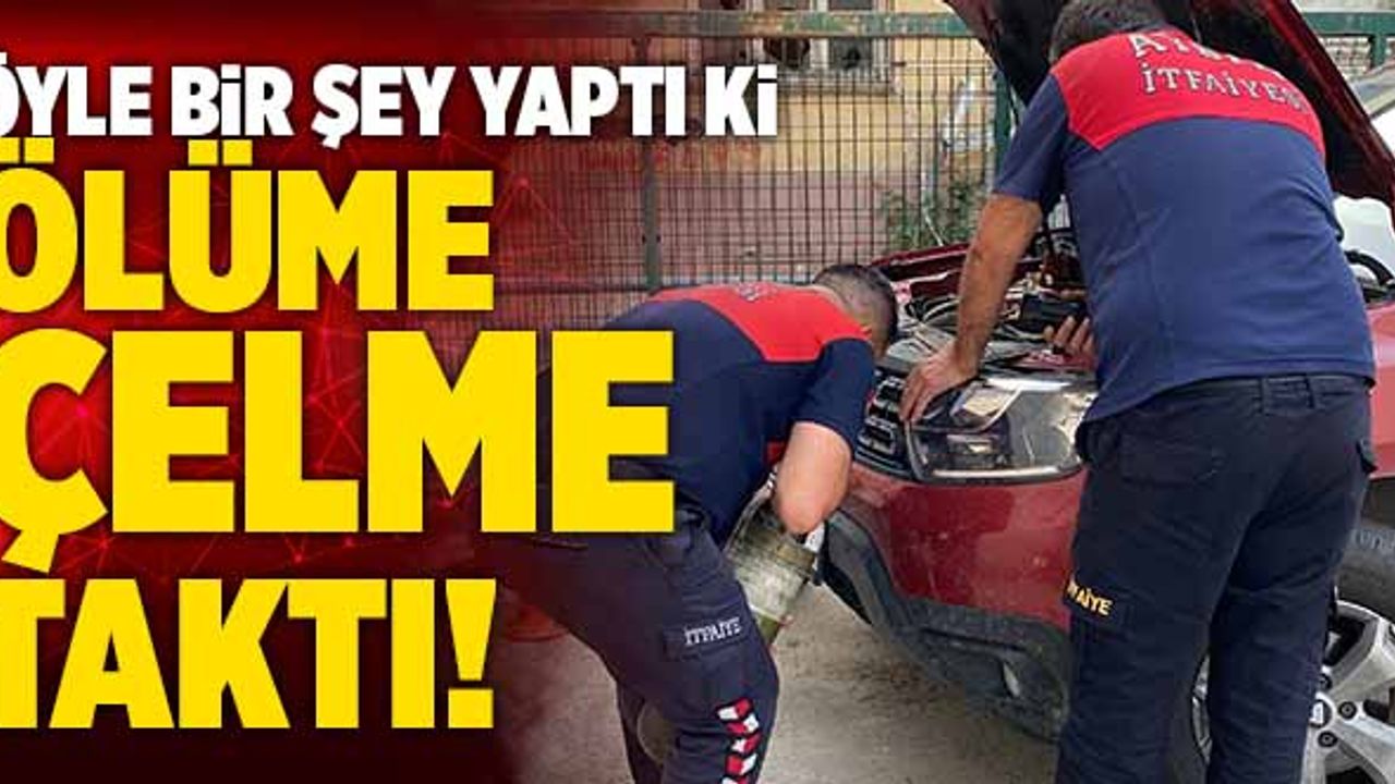 Öyle Bir Şey Yaptı Ki Ölüme Çelme Taktı!
