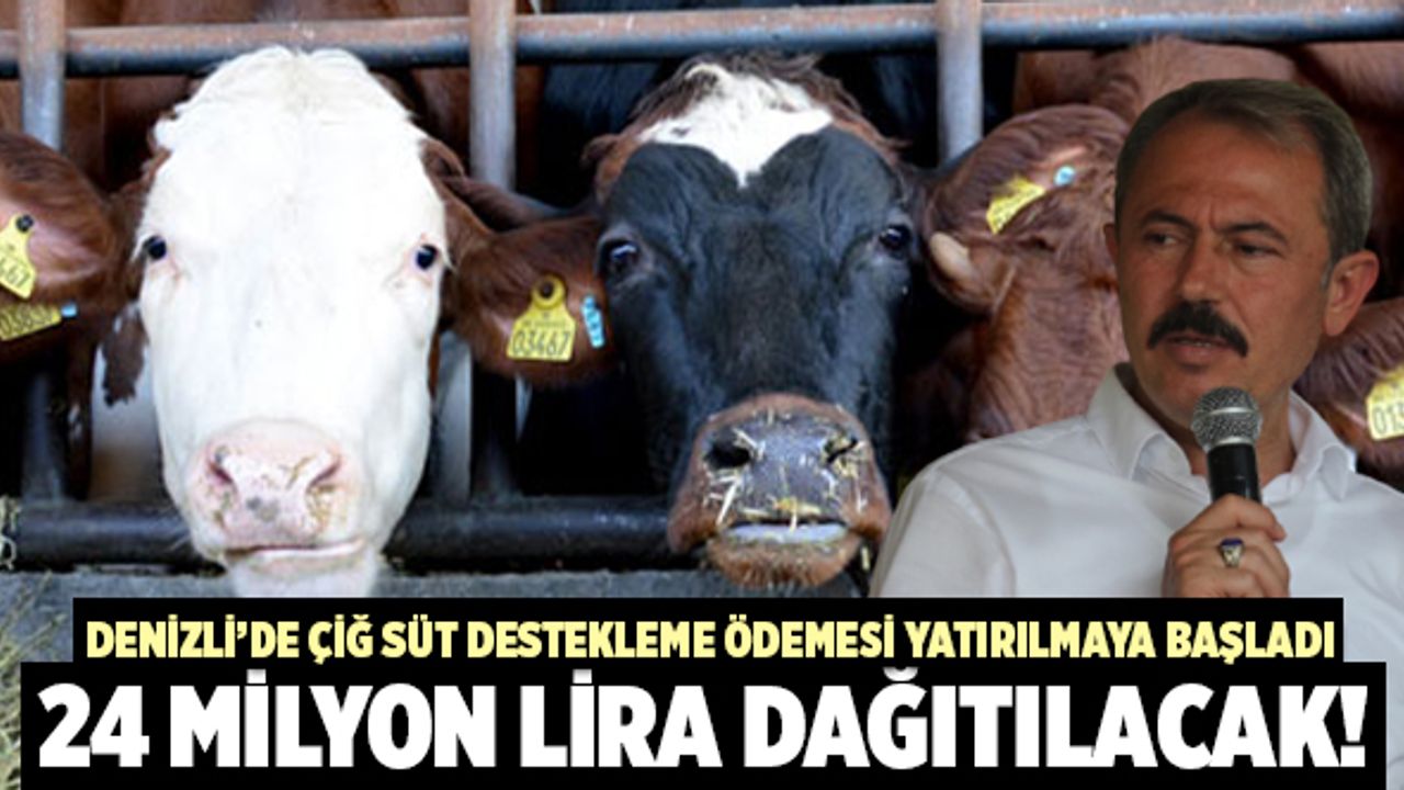 Denizli’de Çiğ Süt Destekleme Ödemesi Yatırılmaya Başladı