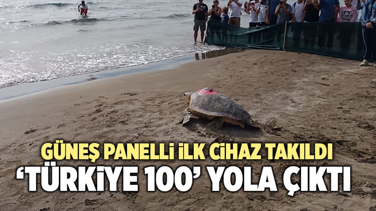 Güneş Panelli İlk Cihaz ‘Türkiye 100’ İsimli Deniz Kaplumbağasına Takıldı