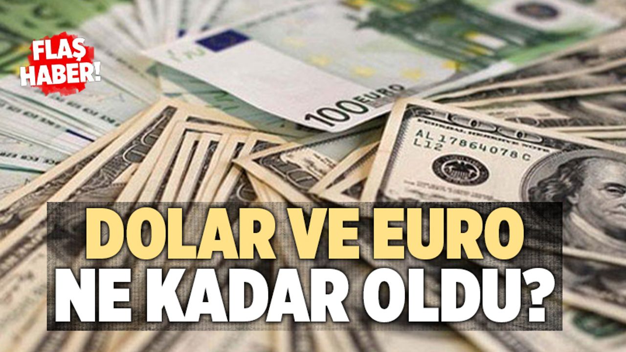 Dolar Ve Euro Ne Kadar Oldu? Güncel Döviz Kurları
