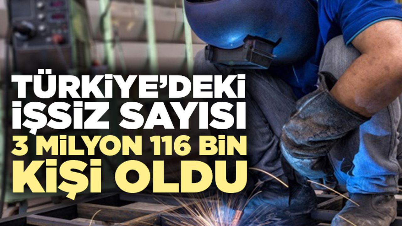 Türkiye’deki İşsiz Sayısı 3 Milyon 116 Bin Kişi Oldu