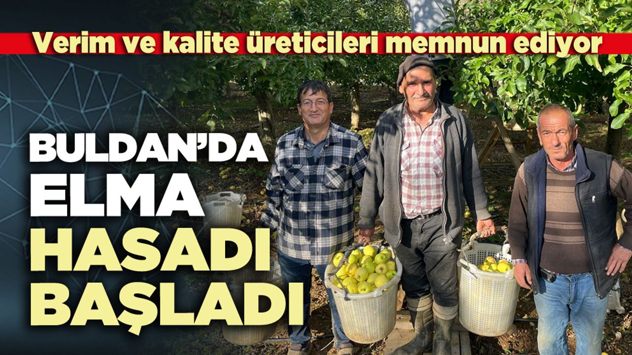 Buldan’da elma hasadı başladı