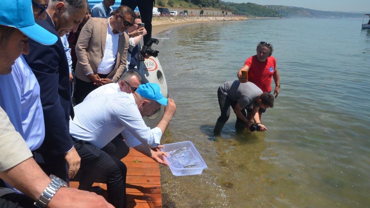 OYAK Çimento’dan Marmara Denizi’ne Sürdürülebilir Gelecek Ya