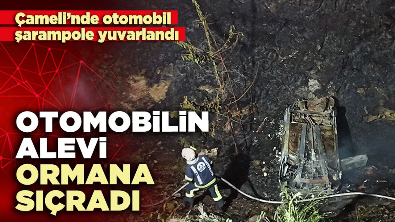 Otomobilin alevi ormana sıçradı