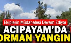 Acıpayam’da Orman Yangını Meydana Geldi