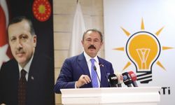 Ak Parti Denizli Milletvekili Şahin Tin’den 30 Ağustos Zafer Bayramı Mesajı