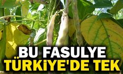 Bu Fasulye Türkiye'de Tek, Pazar İnmeden Satılıyor