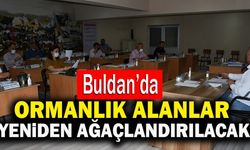 Buldan’da Ormanlık Alanlar Yeniden Ağaçlandırılacak