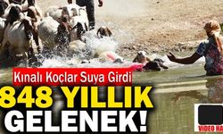 Denizli’de 848 ‘Sudan Koyun Geçirme Festivali’nde Kınalı Koçlar Suya Girdi