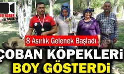 Denizli’de 8 Asırlık Etkinliğin İlk Gününde Çoban Köpekleri Boy Gösterdi