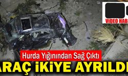Denizli’de Ağaçları Deviren Ağaç İkiye Ayrıldı!