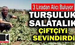 Denizli’de Anasona Alternatif Dikilen Turşuluk Salatalık Yüzleri Güldürdü