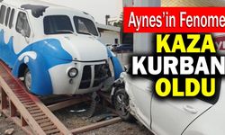 Denizli’de Aynes’in Fenomeni Kaza Kurbanı Oldu