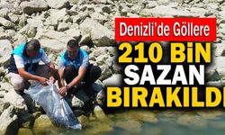Denizli’de Göllere 210 Bin Sazan Bırakıldı