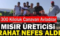 Denizli’de Mısır Üreticileri 300 Kiloluk Domuzu Avladı!